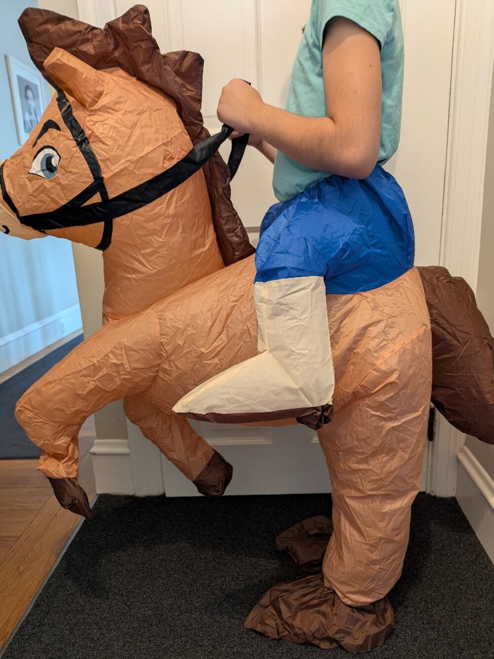 Inflatable  Horse Costume – Blow-Up Halloween Suit